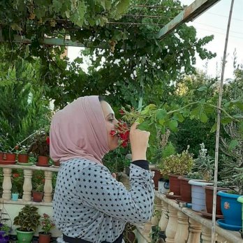 عبير الخزاعلة