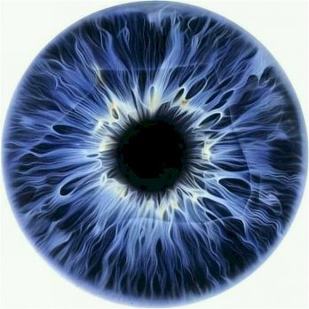 أميرة حجازي