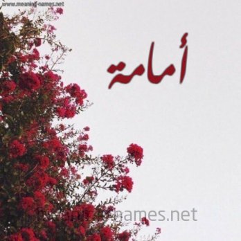 أمامة الوحيدي