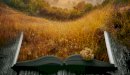 نبذة عن كتاب الأمير لميكافيلي