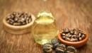 هل من علاج لألم العصعص بالأعشاب؟ أم هو مجرد خرافة؟
