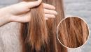 طرق علاج الشعر التالف