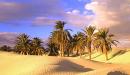 تعبير عن تعمير الصحراء