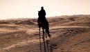 ما هو لقب الصحابي حمزة بن عبد المطلب