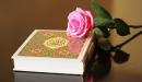 تأملات في سورة الشورى