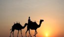 معلقة لبيد بن ربيعة