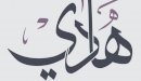 معنى اسم هادي