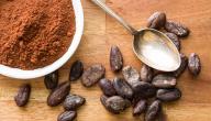فوائد الكاكاو في احتمالية الوقاية من سرطان القولون فوائد الكاكاو في احتمالية الوقاية من سرطان القولون