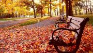 كيف يؤثر الخريف على الصحة كيف يؤثر الخريف على الصحة