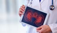 أسوأ أنواع الأطعمة للكلى أسوأ أنواع الأطعمة للكلى