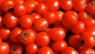 ما هو الفرق بين الطماطم والبندورة ما هو الفرق بين الطماطم والبندورة