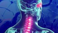علاج التصلب اللويحي بالأعشاب: حقيقة أم خرافة قد تضرك؟ علاج التصلب اللويحي بالأعشاب: حقيقة أم خرافة قد تضرك؟
