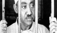 من هو سيد قطب