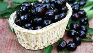 فوائد الكرز الأسود