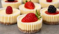 طريقة عمل ميني تشيز كيك