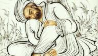 أهم الشعراء العرب أهم الشعراء العرب