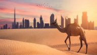 شعر حب بدوي