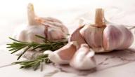 فوائد الثوم للجسم