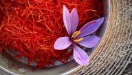 ما هي استخدامات الزعفران