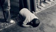 منهج القدوة في تربية الأبناء منهج القدوة في تربية الأبناء