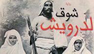 نبذة عن رواية شوق الدرويش