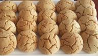 طريقة عمل الغريبة المغربية طريقة عمل الغريبة المغربية