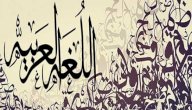 السجع في اللغة العربية - سطور