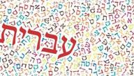 معلومات عن اللغة العبرية