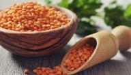 فوائد العدس المسلوق