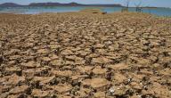 أسباب التصحر أسباب التصحر