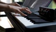 أشهر عازفي البيانو أشهر عازفي البيانو