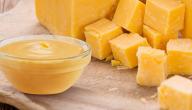 طريقة عمل صوص الجبن