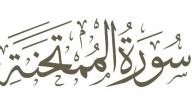 فضل سورة الممتحنة