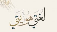 إعراب الاسم الموصول