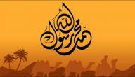 شعر عن الرسول شعر عن الرسول