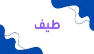 معنى اسم طيف