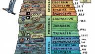 تاريخ الأزمنة الجيولوجية تاريخ الأزمنة الجيولوجية