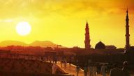 بحث عن المدينة المنورة