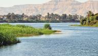 موضوع عن نهر النيل وأهميته