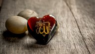 قصة عرش بلقيس والنبي سليمان