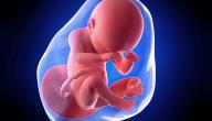 أعراض نقص ماء الجنين في الشهر الثامن