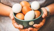 القيمة الغذائية للبيض القيمة الغذائية للبيض