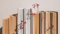 كتب راغب السرجاني