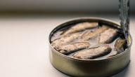 فوائد السردين المعلب