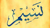 تفسير اسم نسيم في المنام