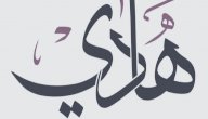 معنى اسم هادي