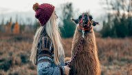 معنى اسم هايدي معنى اسم هايدي