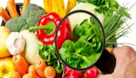 دورة سلامة الاغذية والمراقبة الصحية: محتواها، تكلفتها، وأهميتها