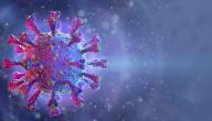 سلالات كورونا الجديدة: هل تظهر بصور أشرس وأسرع انتشارًا؟ سلالات كورونا الجديدة: هل تظهر بصور أشرس وأسرع انتشارًا؟