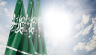 نبذة عن مشهور بن عبد العزيز آل سعود وأسرته وأشقائه